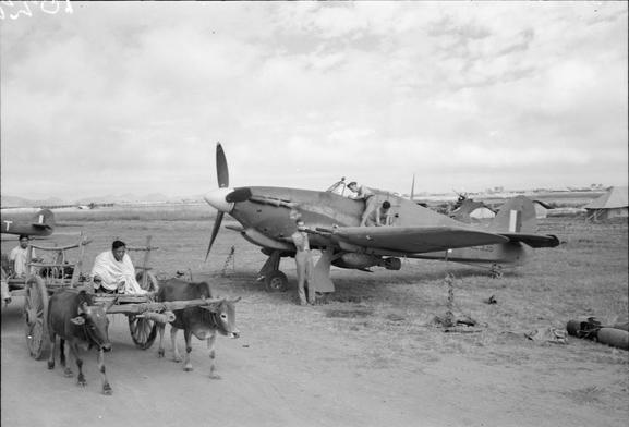 A Burmese bullock cart passes Hawker Hurricane Mark IIC, LE336, of No. 34 Squadron RAF, as ground crews prepare it for another sortie at Palel, Burma.